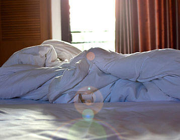 iStock 1220055386 358